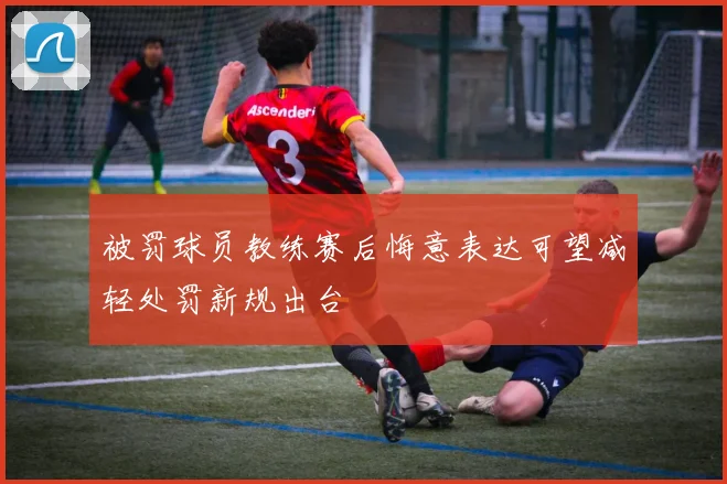 被罚球员教练赛后悔意表达可望减轻处罚新规出台